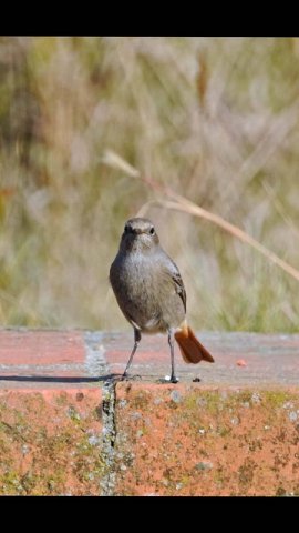 Csodálatos természet 14